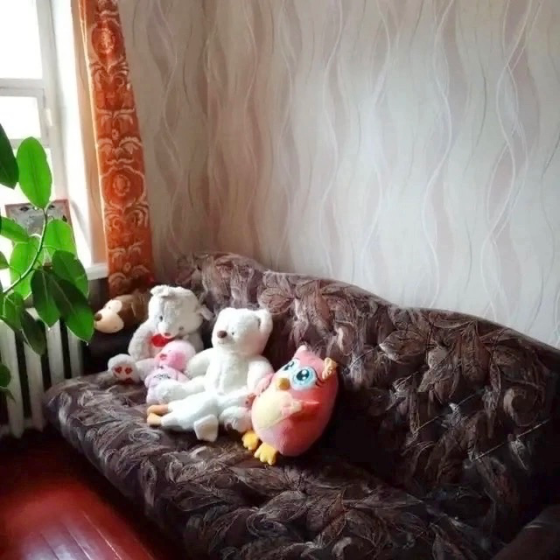 Продажа добротного дома Макеевка Гвардейка п.Чапаевские Планы ор-р маг. "Евгения» Макеевка