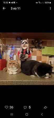 Мальчик перс Донецк