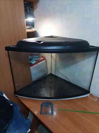 Аквариум угловой 80л. Донецк