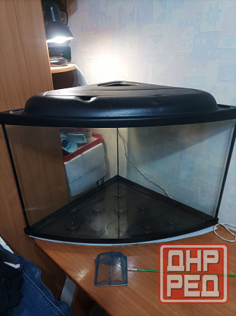 Аквариум угловой 80л. Донецк - изображение 1