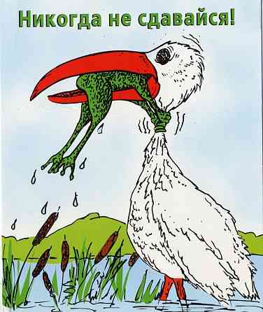 Огласка и общественный резонанс с высокой эффективностью Хабаровск