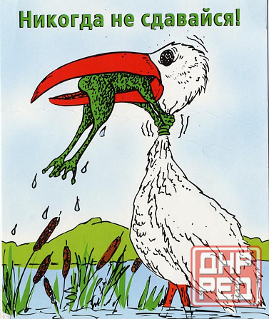 Огласка и общественный резонанс с высокой эффективностью Хабаровск - изображение 1