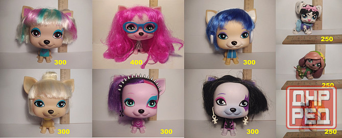 Собачки VIP Pets Донецк - изображение 1