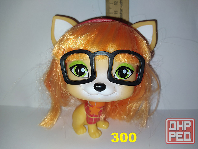 Собачки VIP Pets Донецк - изображение 2