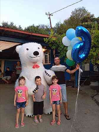 Белый медведь, аниматор Донецк