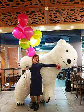 Белый медведь, аниматор Донецк