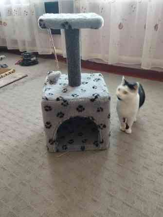 Домик кошачий б/у Донецк