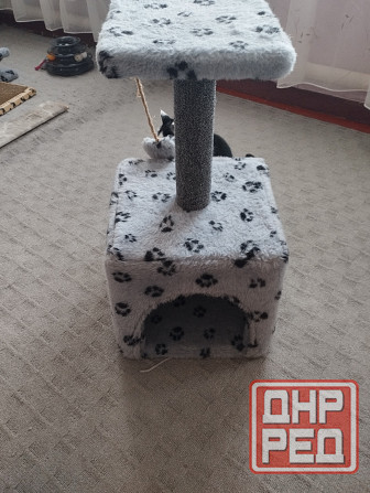 Домик кошачий б/у Донецк - изображение 2