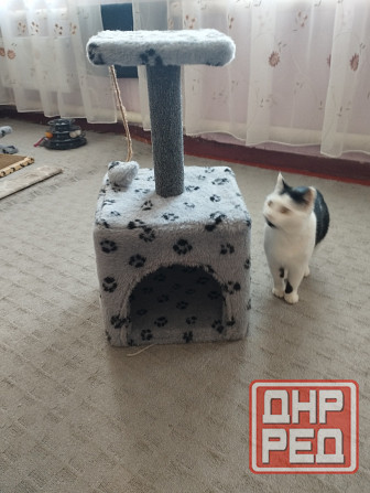 Домик кошачий б/у Донецк - изображение 3