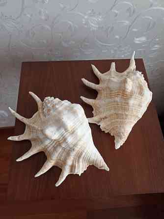 Продается Донецк