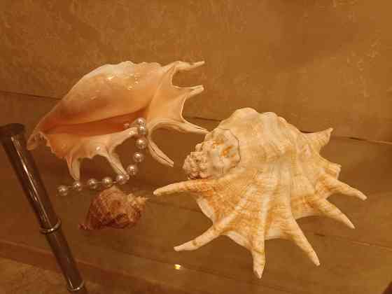 Продается Донецк