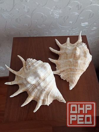 Продается Донецк - изображение 2