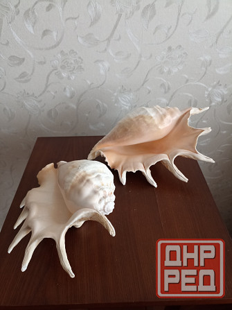 Продается Донецк - изображение 1