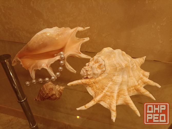 Продается Донецк - изображение 4