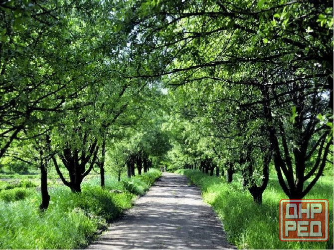 Продам ижс земельный участок Бот.сад Донецк - изображение 1