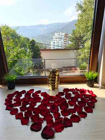 Продам 1к. Апартаменты,пгт.Массандра Ялта