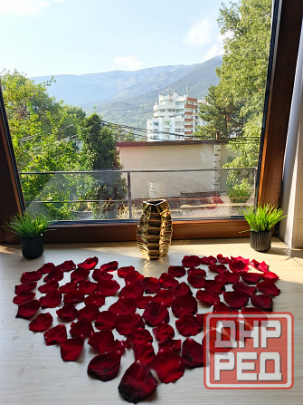 Продам 1к. Апартаменты,пгт.Массандра Ялта - изображение 2