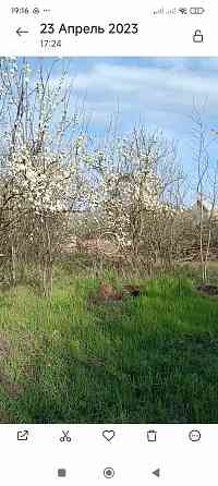 Участок в Мелекино Мариуполь