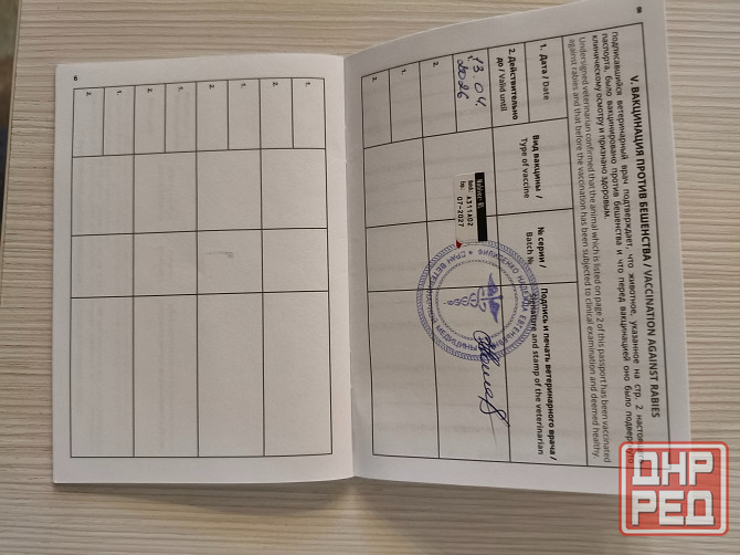 щенок ищет дом семью щенки в хорошие руки Донецк - изображение 7