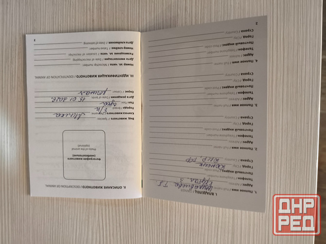 щенок ищет дом семью щенки в хорошие руки Донецк - изображение 5