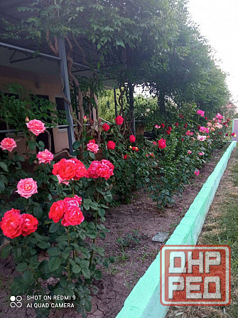 Продажа готового бизнеса, г.Урзуф , Земельный участок 12 соток(приватизированный) На берегу моря (10 Урзуф - изображение 6