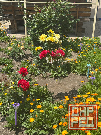 Участок и дом на Белосарайской Косе Мариуполь - изображение 11