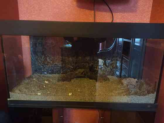 Продам аквариум Донецк