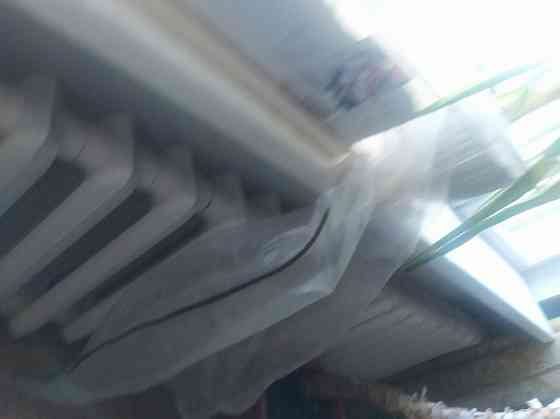 Продам Юкку комнатную Донецк