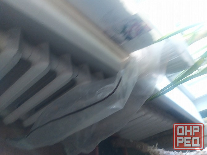 Продам Юкку комнатную Донецк - изображение 4