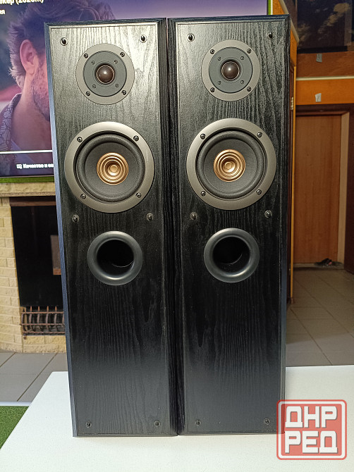 Акустическая система Technics -SB-T100 Донецк - изображение 1