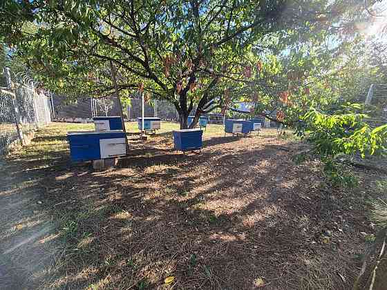 Продаётся усадьба в с.Фёдоровка Мариуполь