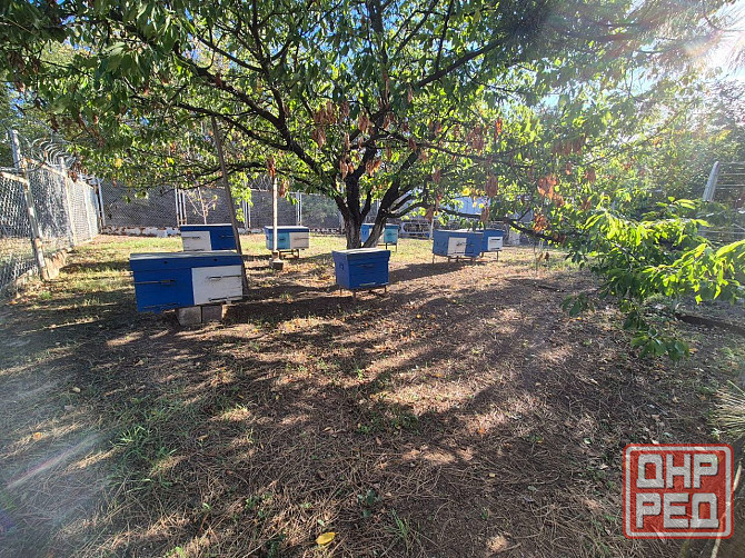 Продаётся усадьба в с.Фёдоровка Мариуполь - изображение 3