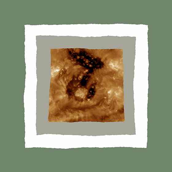 Пердиде сяк апостол ШФазия Донецк