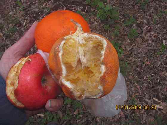 Имеем антипсихоз свои офисы Донецк