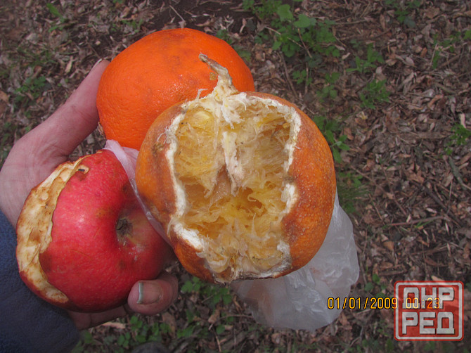 Имеем антипсихоз свои офисы Донецк - изображение 1