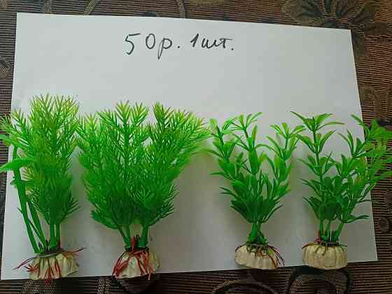 Водоросли искуст в аквариум. Донецк