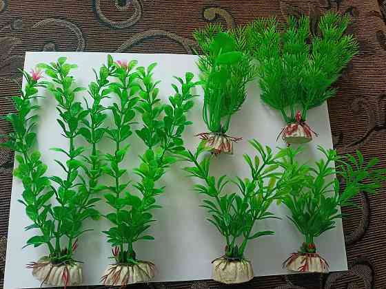 Водоросли искуст в аквариум. Донецк