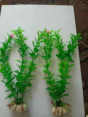 Водоросли искуст в аквариум. Донецк