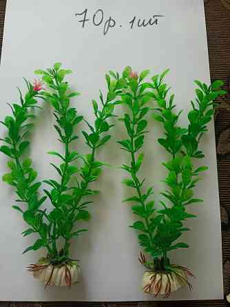 Водоросли искуст в аквариум. Донецк