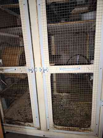 Продам клетку для шиншиллы Донецк
