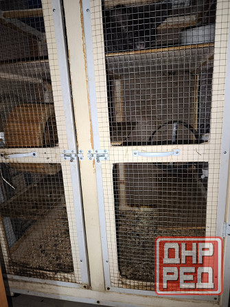 Продам клетку для шиншиллы Донецк - изображение 1