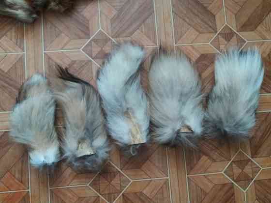 Продам хвост лисы натуральный мех Донецк