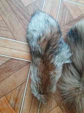 Продам хвост лисы натуральный мех Донецк