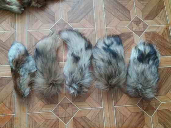 Продам хвост лисы натуральный мех Донецк