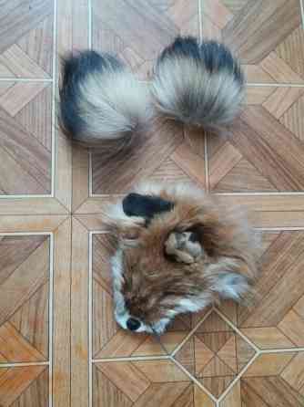 Продам куски меха лисы лисицы Донецк