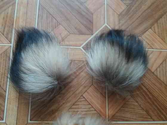 Продам куски меха лисы лисицы Донецк