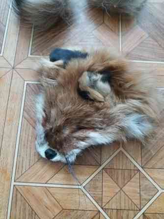 Продам куски меха лисы лисицы Донецк