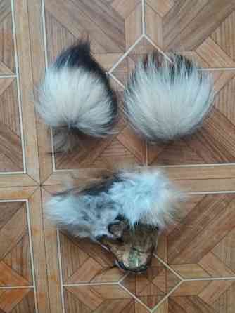 Продам куски меха лисы лисицы Донецк