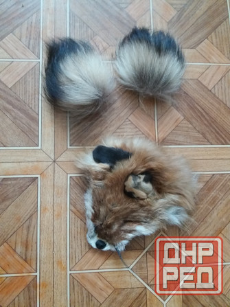 Продам куски меха лисы лисицы Донецк - изображение 1