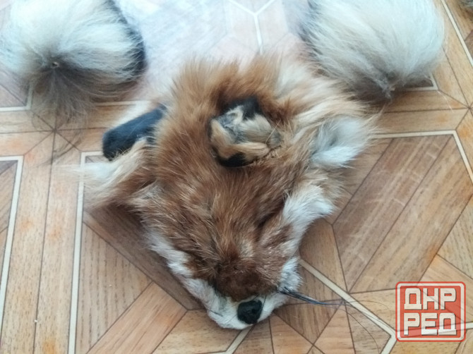 Продам куски меха лисы лисицы Донецк - изображение 3